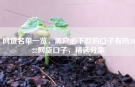 网贷名单一览，黑户必下款的口子有吗2022网贷口子，精选分享