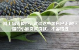 网上借钱被拒，试试这些黑白户无需征信的小额贷款贷款，不容错过
