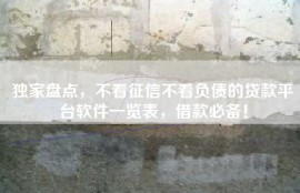 独家盘点，不看征信不看负债的贷款平台软件一览表，借款必备！