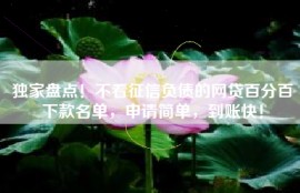 独家盘点！不看征信负债的网贷百分百下款名单，申请简单，到账快！