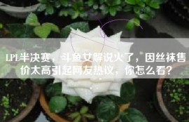 LPL半决赛，斗鱼女解说火了，因丝袜售价太高引起网友热议，你怎么看？