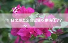 3.1日之后怎么感觉催收更疯狂了？
