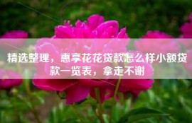 精选整理，惠享花花贷款怎么样小额贷款一览表，拿走不谢