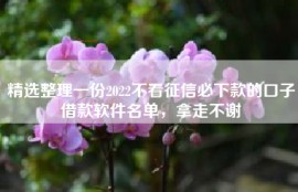 精选整理一份2022不看征信必下款的口子借款软件名单，拿走不谢