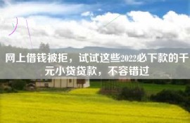 网上借钱被拒，试试这些2022必下款的千元小贷贷款，不容错过