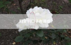 网贷的口子有哪些？