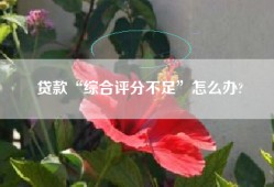 贷款“综合评分不足”怎么办?