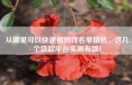 从哪里可以快速借到钱名单精选，这几个贷款平台实测有效！