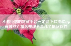 不看征信的贷款平台一定能下款贷款app有哪些？精选整理分享几个借款软件