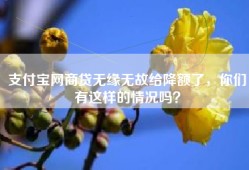 支付宝网商贷无缘无故给降额了，你们有这样的情况吗？