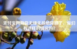 支付宝网商贷无缘无故给降额了，你们有这样的情况吗？