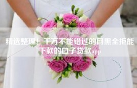 精选整理！千万不能错过的网黑全拒能下款的口子贷款app