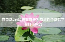 哪里贷5000块钱有哪些？盘点几个贷款平台好下款的