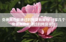 负债高也能通过的网贷有哪些?分享几个负债高也能通过的网贷平台