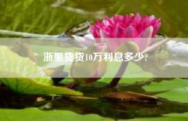 浙里贷贷10万利息多少?