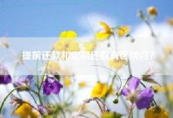 提前还款和定期还款有区别吗？