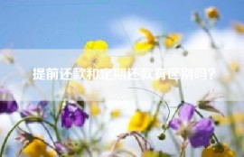 提前还款和定期还款有区别吗？