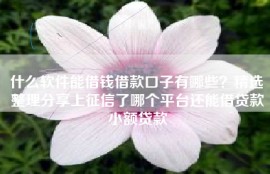 什么软件能借钱借款口子有哪些？精选整理分享上征信了哪个平台还能借贷款小额贷款