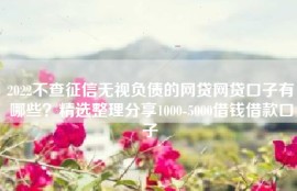 2022不查征信无视负债的网贷网贷口子有哪些？精选整理分享1000-5000借钱借款口子