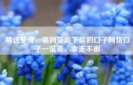 精选整理，黑网贷能下款的口子网贷口子一览表，拿走不谢