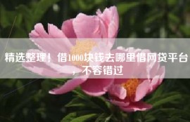 精选整理！借1000块钱去哪里借网贷平台，不容错过