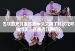 先联系支付宝客服永久关闭了蚂蚁花呗和借呗，还能再开通吗？