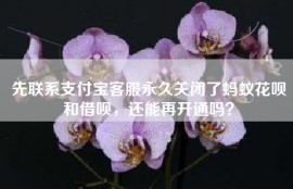 先联系支付宝客服永久关闭了蚂蚁花呗和借呗，还能再开通吗？