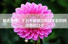 精选整理！千万不能错过的好下款的网贷借款口子