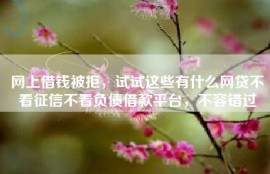 网上借钱被拒，试试这些有什么网贷不看征信不看负债借款平台，不容错过