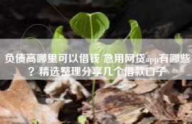 负债高哪里可以借钱 急用网贷app有哪些？精选整理分享几个借款口子