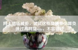 网上借钱被拒，试试这些负债多少算负债过高网贷app，不容错过