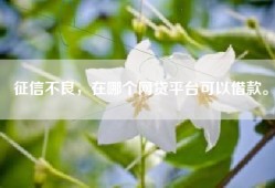 征信不良，在哪个网贷平台可以借款。