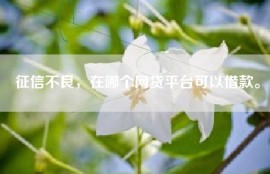 征信不良，在哪个网贷平台可以借款。