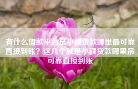 有什么借款平台是小额贷款哪里最可靠直接到账？这几个就是小额贷款哪里最可靠直接到账