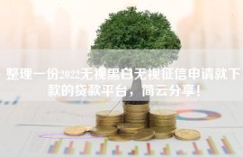 整理一份2022无视黑白无视征信申请就下款的贷款平台，简云分享！