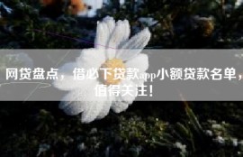 网贷盘点，借必下贷款app小额贷款名单，值得关注！