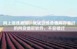 网上借钱被拒，试试这些负债高容易过的网贷借款软件，不容错过