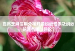 提高芝麻信用分和开通蚂蚁借呗及蚂蚁花呗有哪些建议？