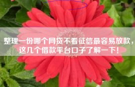 整理一份哪个网贷不看征信最容易放款，这几个借款平台口子了解一下！