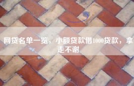 网贷名单一览，小额贷款借1000贷款，拿走不谢