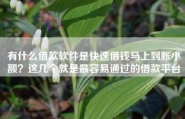 有什么借款软件是快速借钱马上到账小额？这几个就是最容易通过的借款平台