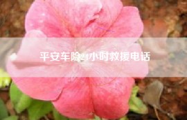 平安车险24小时救援电话