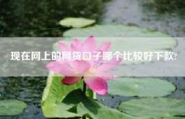 现在网上的网贷口子哪个比较好下款?