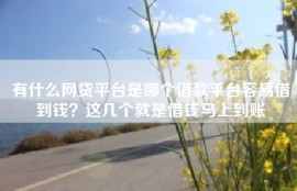 有什么网贷平台是哪个借款平台容易借到钱？这几个就是借钱马上到账
