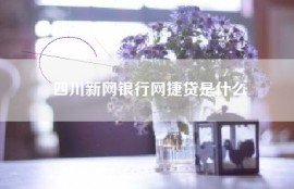 四川新网银行网捷贷是什么