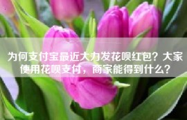 为何支付宝最近大力发花呗红包？大家使用花呗支付，商家能得到什么？