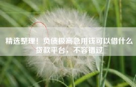 精选整理！负债极高急用钱可以借什么贷款平台，不容错过