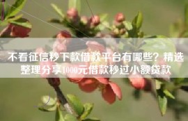 不看征信秒下款借款平台有哪些？精选整理分享1000元借款秒过小额贷款