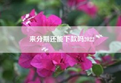 来分期还能下款吗2022