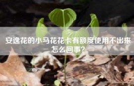 安逸花的小马花花卡有额度使用不出来怎么回事？